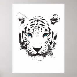 Weißer Tiger mit blauen Augen Poster