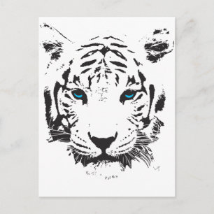 Weißer Tiger mit blauen Augen Postkarte