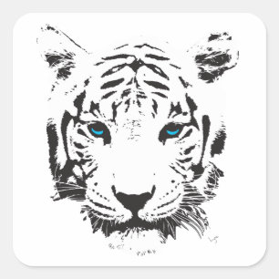 Weißer Tiger mit blauen Augen Quadratischer Aufkleber