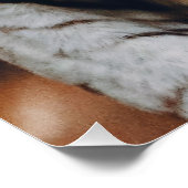 Weißer Tiger Poster (Ecke)
