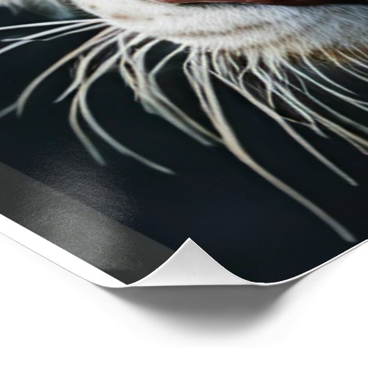 Weißer Tiger Poster (Ecke)