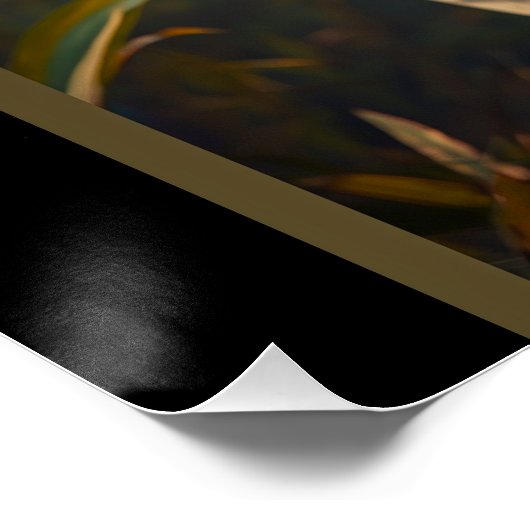 Weißer Tiger Poster (Ecke)