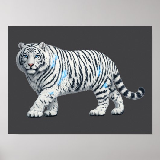 Weißer Tiger Poster Druck oder Digitaler Download  (Vorne)