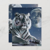 Weißer Tiger Postkarte (Vorne/Hinten)