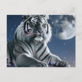 Weißer Tiger Postkarte (Rückseite)