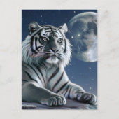 Weißer Tiger Postkarte (Vorderseite)