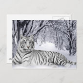 Weißer TIger Postkarte (Vorne/Hinten)