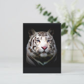 Weißer Tiger Postkarte (Stehend Vorderseite)