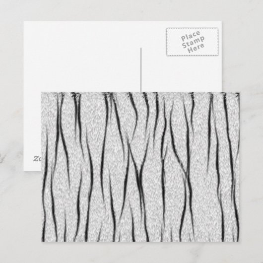 Weißer Tiger Postkarte (Vorne/Hinten)