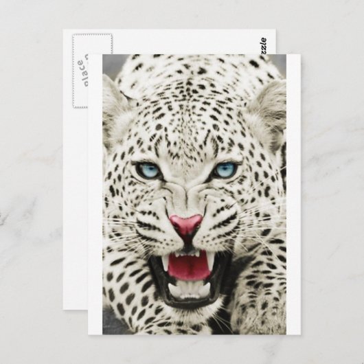 Weißer Tiger Postkarte (Vorne/Hinten)