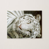Weißer Tiger Puzzle (Horizontal)