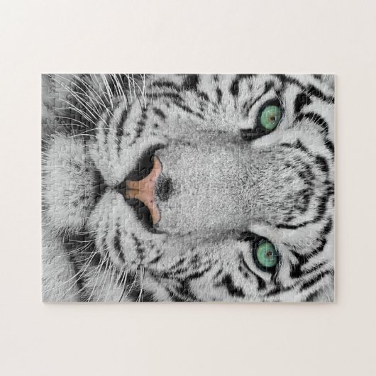 Weißer Tiger Puzzle (Horizontal)