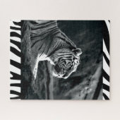 Weißer Tiger Puzzle (Horizontal)