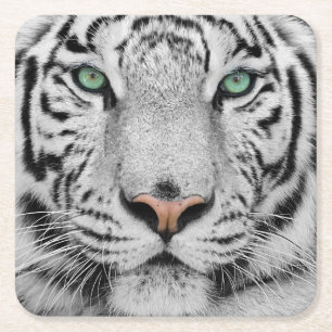 Weißer Tiger Rechteckiger Pappuntersetzer