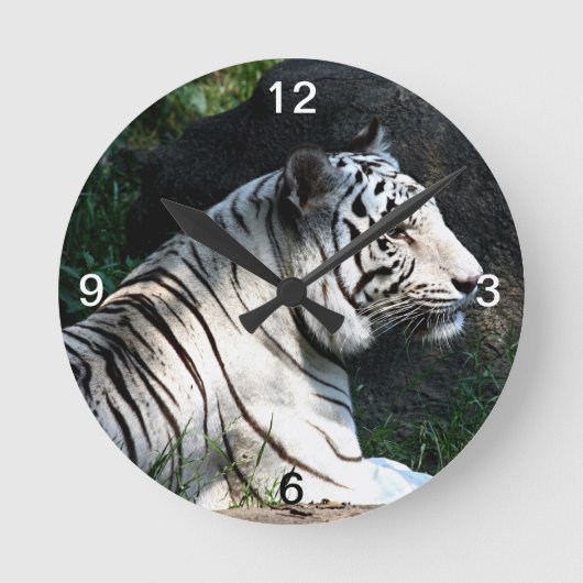 Weißer Tiger Runde Wanduhr (Vorderseite)