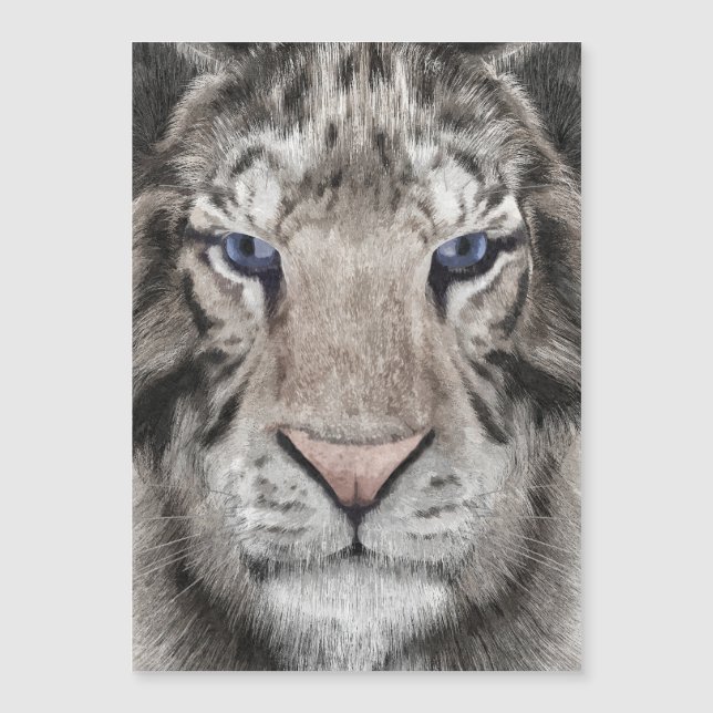 Weißer Tigerkopf  Magnetkarte (Vorderseite)