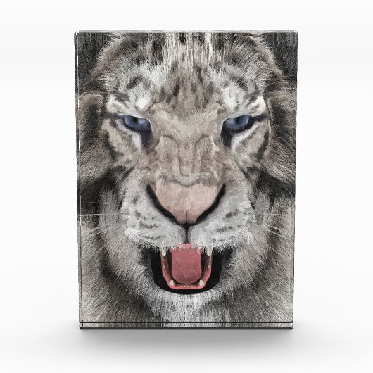 Weißer Tigerkopf Wildlife Ästhetik Fotoblock (Vorderseite)