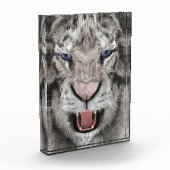 Weißer Tigerkopf Wildlife Ästhetik Fotoblock (Links)