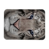 Weißer Tigerkopf Wildtier Ästhetik Magnet (Horizontal)