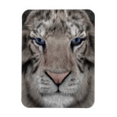 Weißer Tigerkopf Wildtier Ästhetik Magnet (Vertikal)