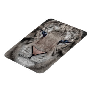 Weißer Tigerkopf Wildtier Ästhetik Magnet
