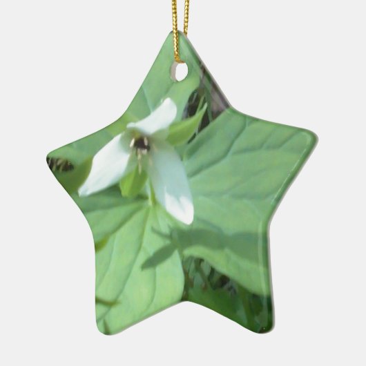 Weißer Trillium mit grüner Farbe Keramikornament (Links)