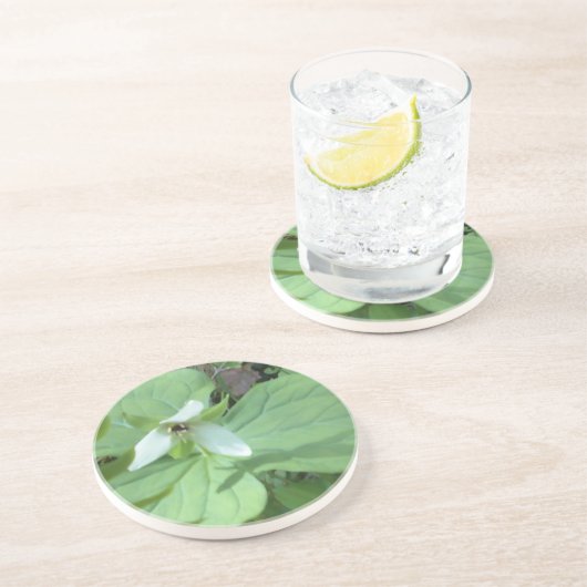 Weißer Trillium mit grüner Farbe Sandstein Untersetzer (Seite)