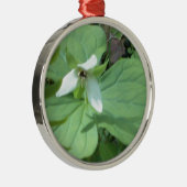 Weißer Trillium mit grüner Farbe Silbernes Ornament (Rechts)
