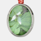 Weißer Trillium mit grüner Farbe Silbernes Ornament (Links)