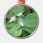 Weißer Trillium mit grüner Farbe Silbernes Ornament (Vorne)