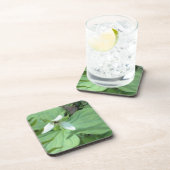 Weißer Trillium mit grüner Farbe Untersetzer (Rechte Seite)