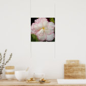 Weißer Tuberer Begonia Bloom Floral Poster (Küche)