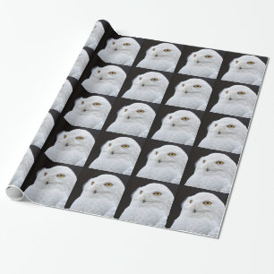 Weißer Uhu Geschenkpapier