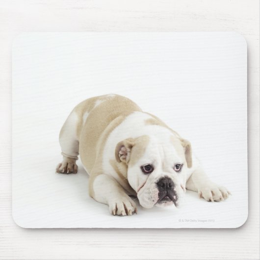 Weißer und bräunlicher Bulldogge Mousepad (Vorne)