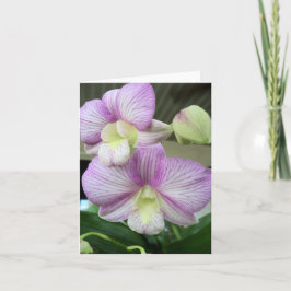 Weißer und lila Orchideenkarte