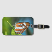 Weißer und orange gestreifter Schmetterling Gepäckanhänger (Vorderseite (Horizontal))