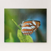 Weißer und orange gestreifter Schmetterling Puzzle (Horizontal)