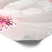 Weißer und rosafarbener Blumen Poster (Ecke)