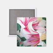 Weißer und rosafarbener Lilienmagnet Magnet (Vorderseite/Rückseite)
