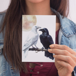 Weißer und schwarzer Rabe Postkarte