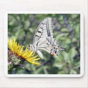 Weißer und schwarzer Schmetterling auf der Gelben Mousepad