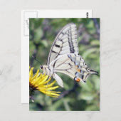 Weißer und schwarzer Schmetterling auf der Gelben Postkarte (Vorne/Hinten)
