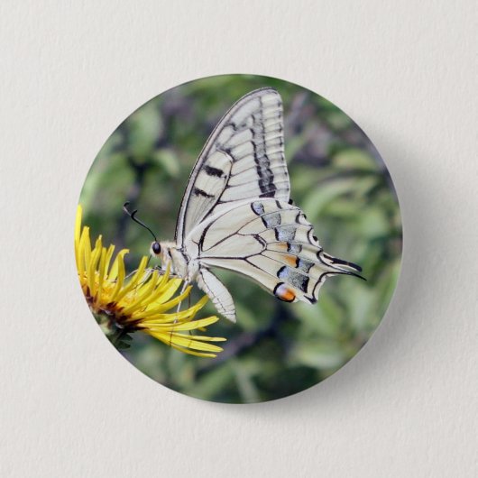 Weißer und schwarzer Schmetterling mit roten Fleck Button (Vorderseite)