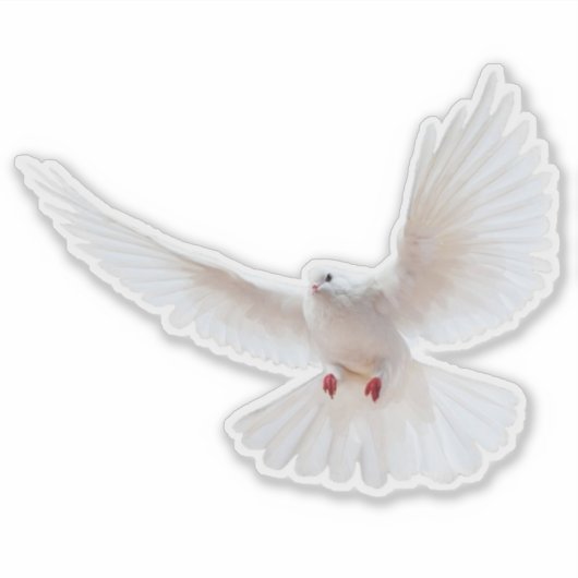 Weißer Vogel Aufkleber (Vorderseite)