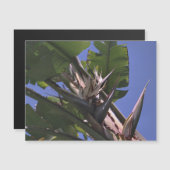 Weißer Vogel des Paradieses MagnetkartenKühlschran Magnetkarte (Vorne/Hinten)