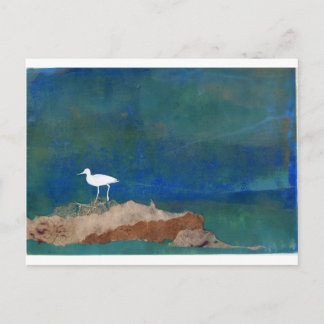 Weißer Vogel Postkarte
