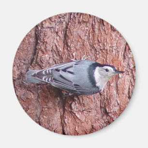 Weißer Vogelmagnet Magnet