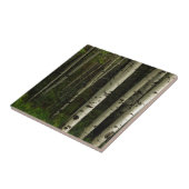 Weißer Wald Fliese (Seite)