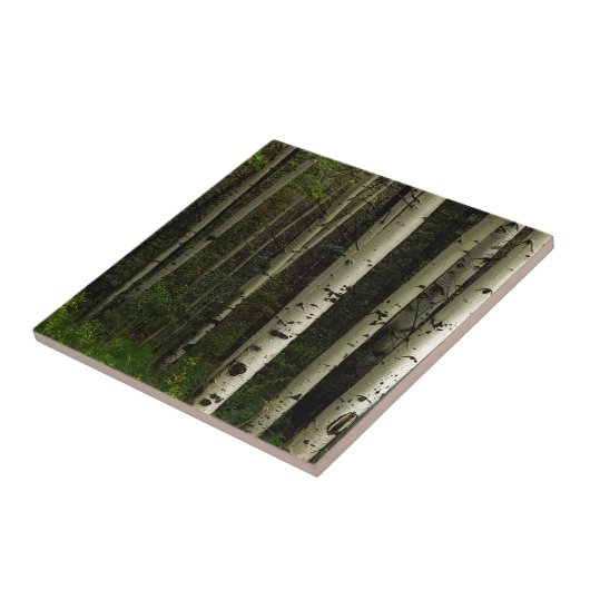 Weißer Wald Fliese (Seite)