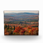 Weißer Wald | New Hampshire Fotoblock (Vorderseite)